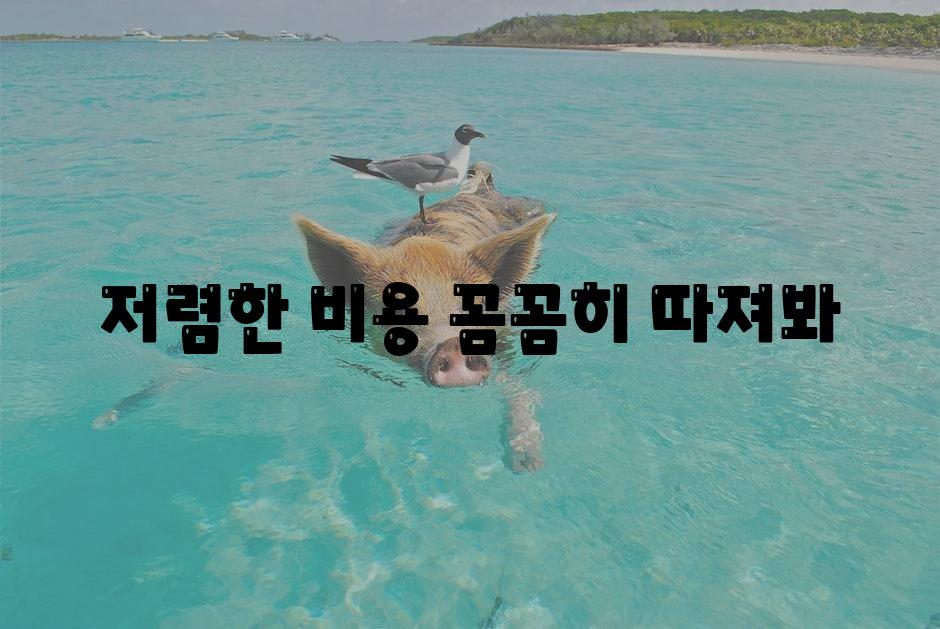 저렴한 비용, 꼼꼼히 따져봐!