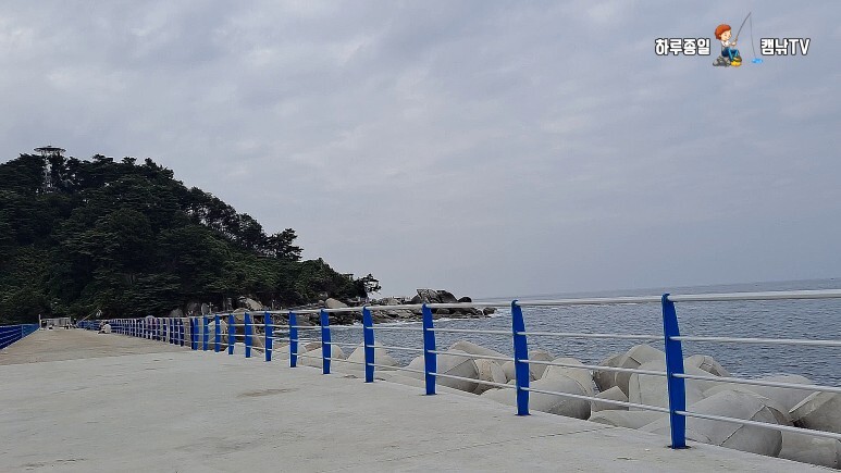  강원도 양양 원투낚시. 양양 인구항으로 초보원투낚시 출조. 인구항방파제에서 장어낚시