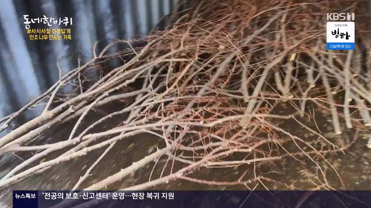 동네 한 바퀴.E265.240317p-NEXT.mp4_20240317_173350.864.jpg