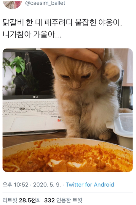  니가 참아 가을아...
