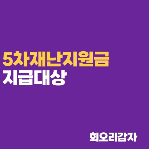  5차 재난지원금(국민지원금) 지급 대상 소득, 재산 기준