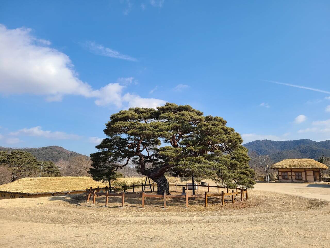 경북 안동 풍경