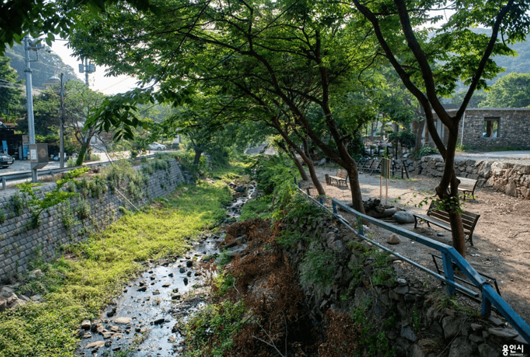 용인 고기리계곡