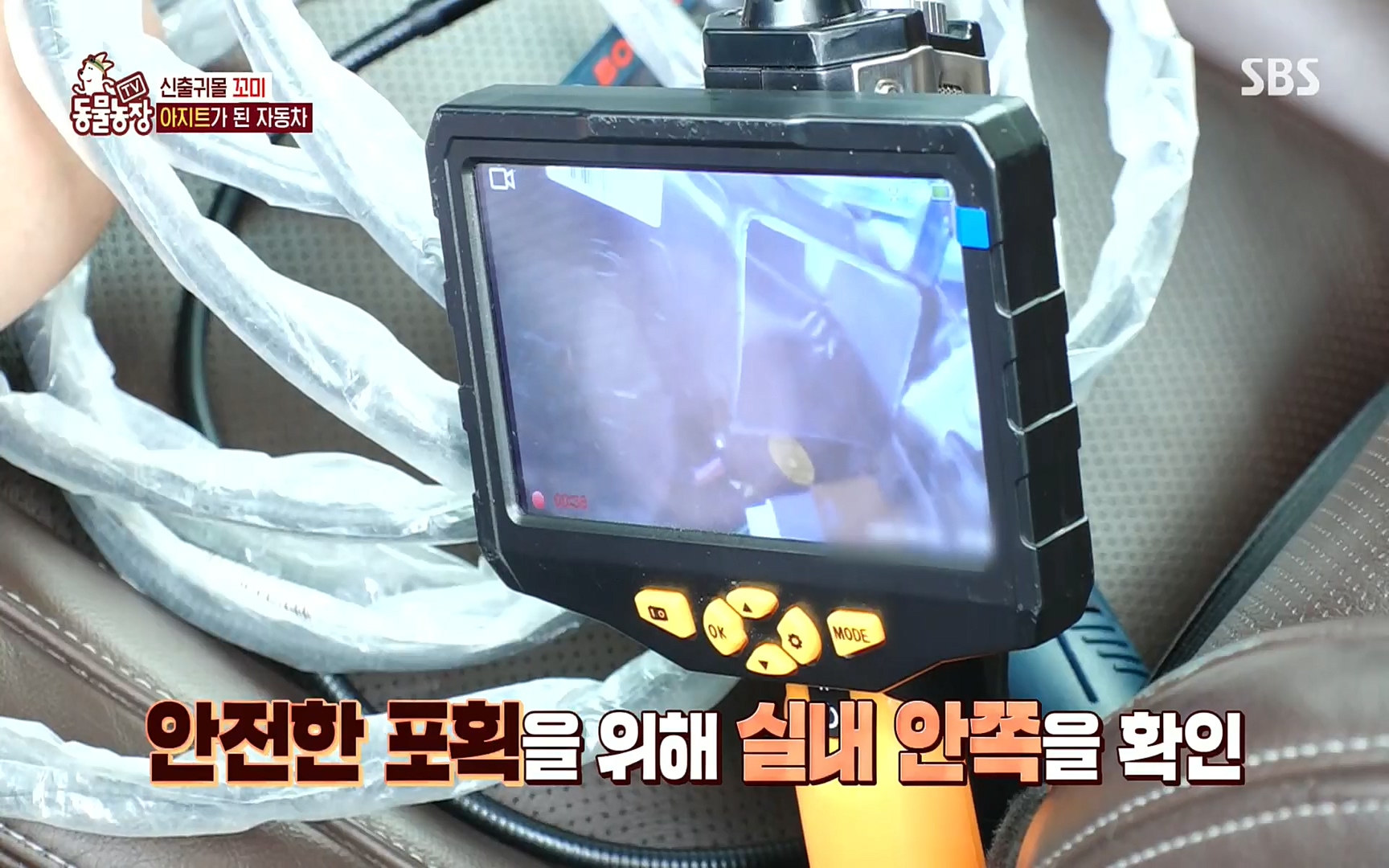 TV 동물농장.E1086.220911p.H264-F1RST.mp4_20220911_175407.387.jpg