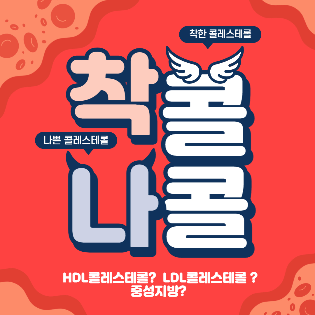 HDL콜레스테롤-LDL콜레스테롤-중성지방