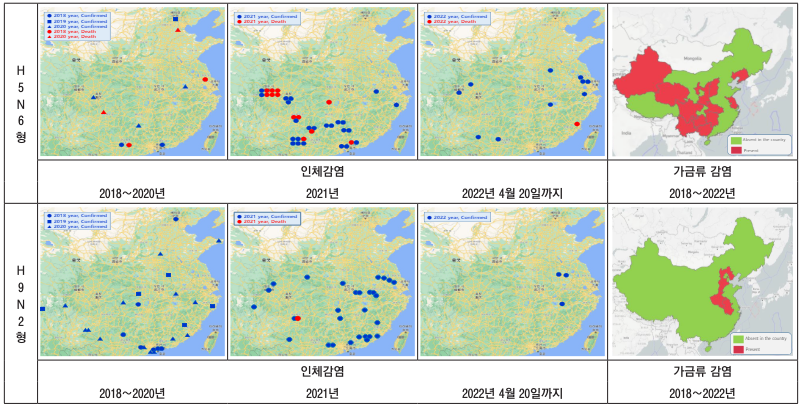 조류독감 인간 전염성과 증상, 백신 개발 현황