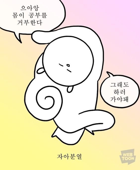 [Phase1 Preview] 대학생활/진로고민/취업준비 FAQ | 실제 경험을 바탕으로 끄적이는 매우 주관적이지만 솔직한 대학생활부터 취업까지의 현실 답변 (feat. 대학일기 짤 모음)