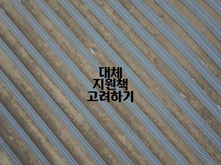 대체 지원책 고려하기