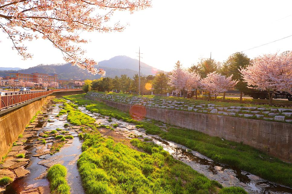  경주 가볼만한곳 김유신장군묘 그리고 흥신로 벚꽃길