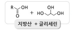 지방산과 글리세롤