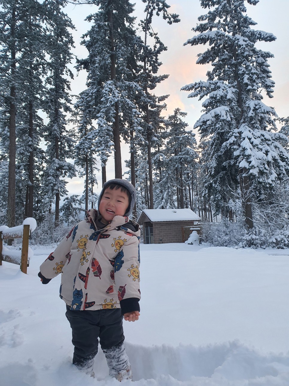 rv RV 카라반 끌고 미국 61