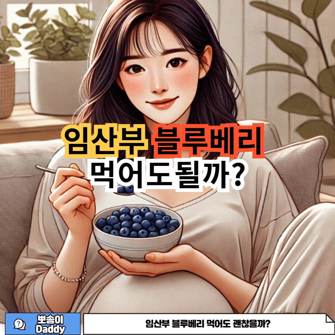 임산부 블루베리 먹어도 괜찮은지에 대한 사진