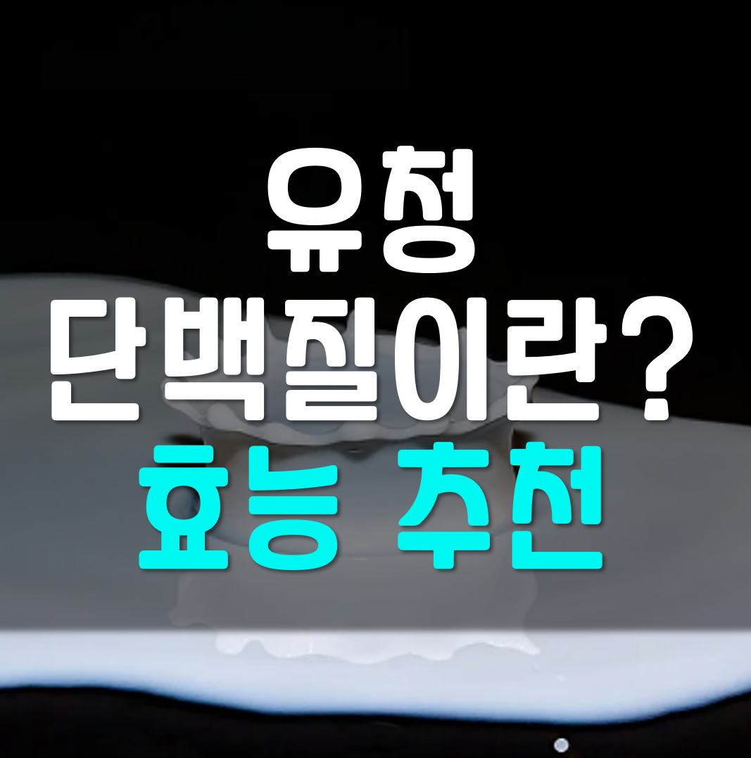  유청 단백질이란? 효능, 추천 정리!