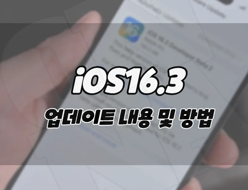 애플 아이폰 iOS 16.3업데이트 내용 및 다운로드 방법. (+아이패드)