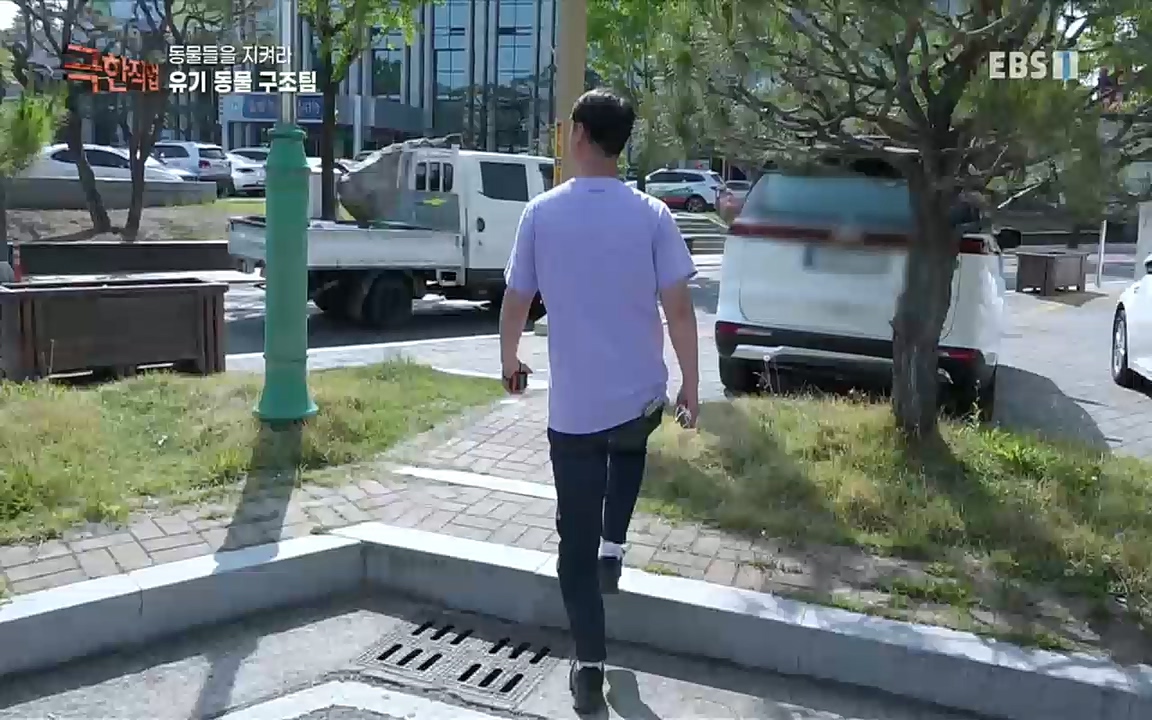 TV - 교육의 중심 EBS동물들을 지켜라, 수의사와 유기 동물 구조팀.mp4_20220913_200156.730.jpg