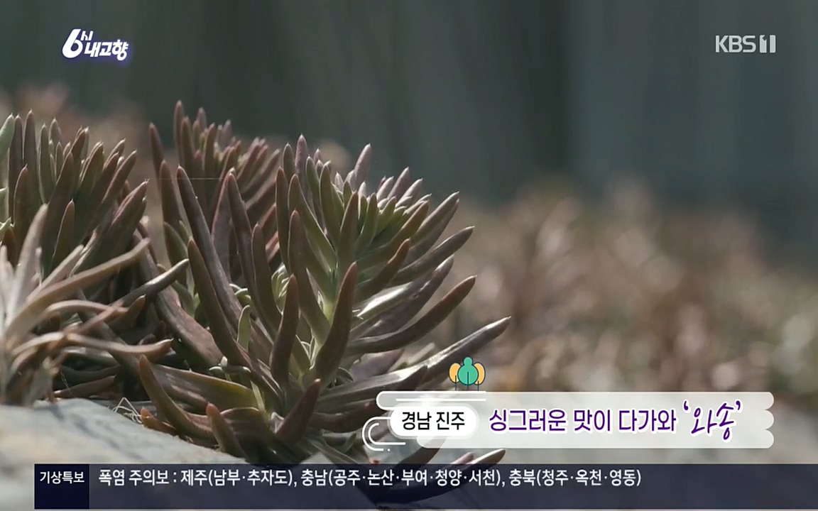6시 내고향.E7596.220813p.H264-F1RST.mp4_20220814_173330.643.jpg