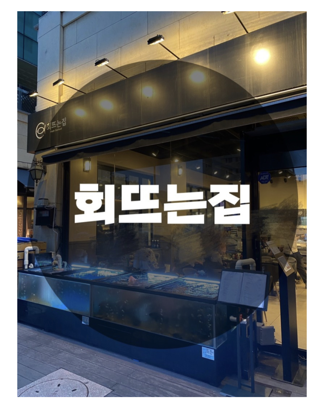  : 경기 성남시 정자동 : 정자동 엠코헤리츠 카페거리 활어회, 연포당 맛집 회뜨는집
