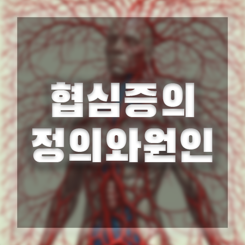 협심증의 정의와원인