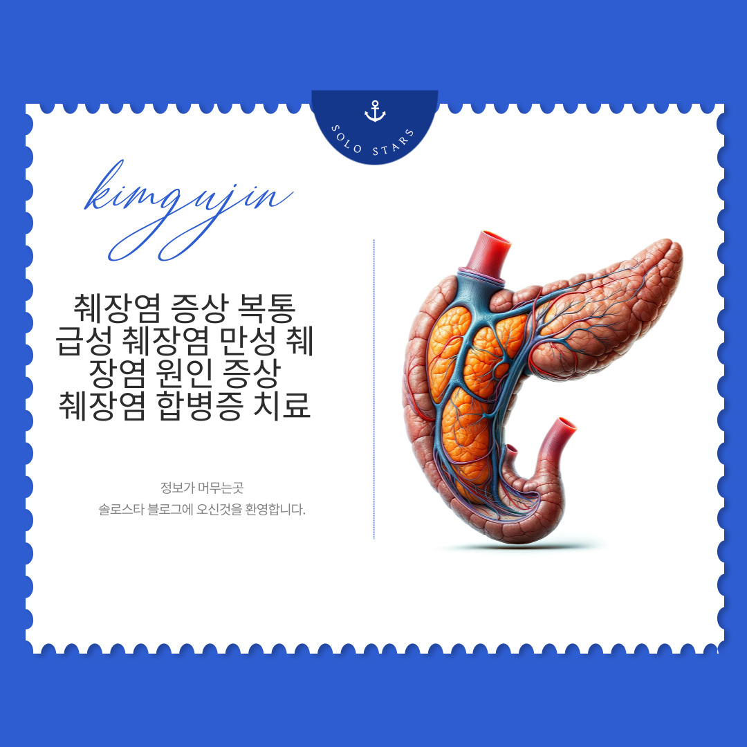 췌장 사진