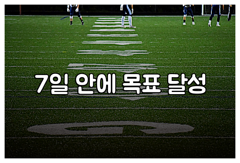 7일 안에 목표 달성