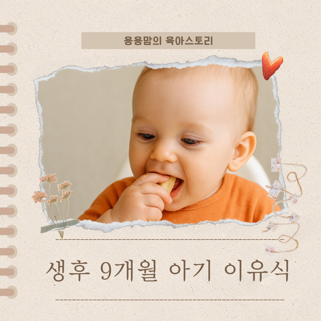 생후 9개월 아기 이유식