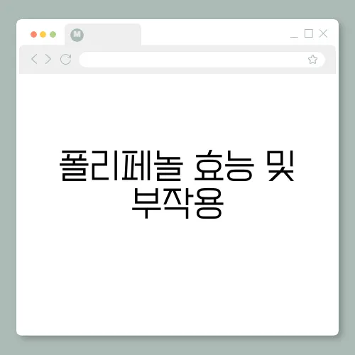 폴리페놀 효능 및 부작용, 어떤음식에 많을까?