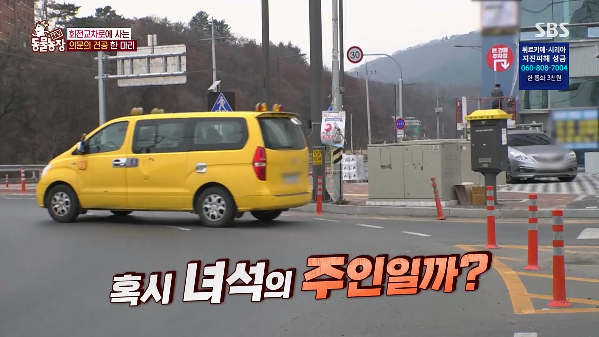TV 동물농장.E1109.230219p.H264-F1RST.mp4_20230219_142845.292.jpg