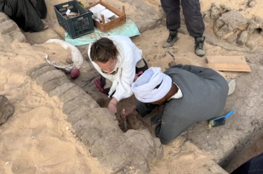 이집트 무덤서 발견된 5000년 전 와인