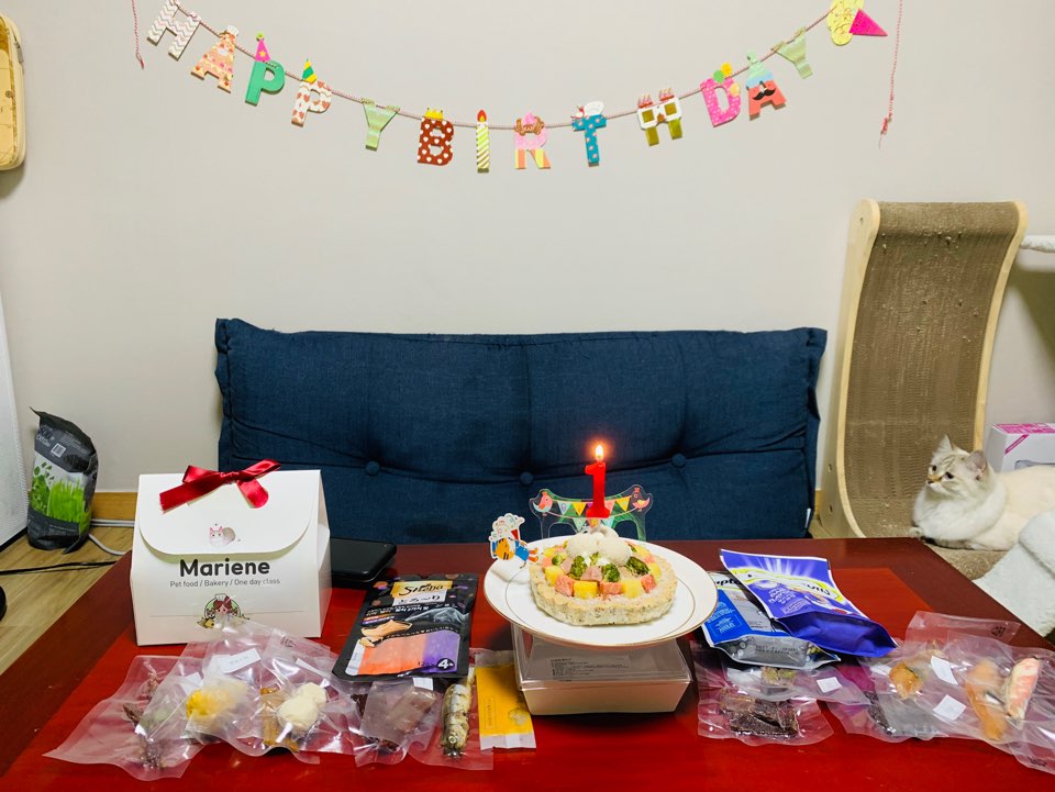  두리의 첫번째 생일