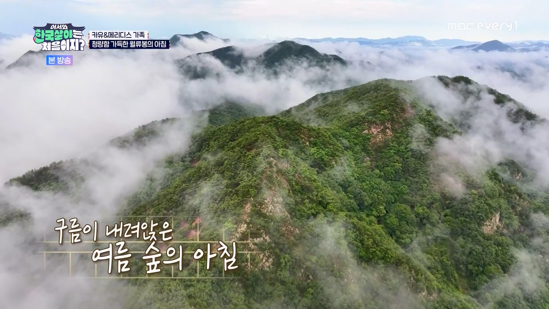 어서와 한국살이는 처음이지.E11.230731p.WANNA.mp4_20230801_204754.099.jpg