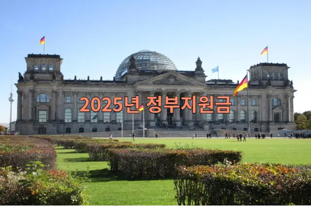 2025년 소상공인 지원금 관련 이미지