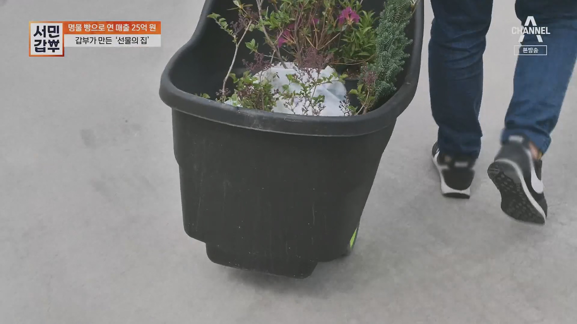 서민갑부.E435.230513p.H264-F1RST.mp4_20230516_195439.702.jpg