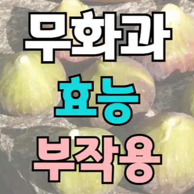 무화과 썸네일