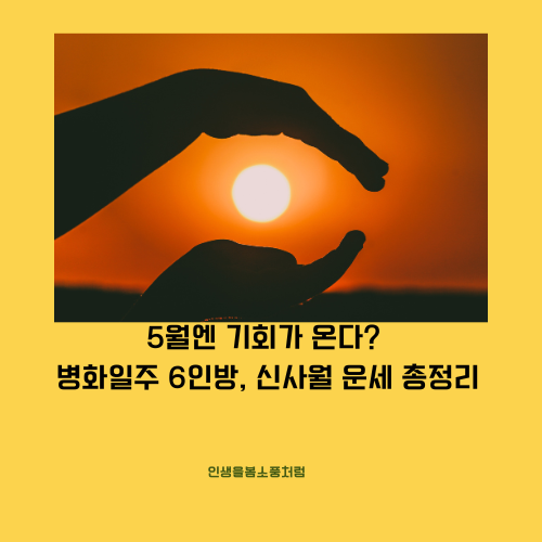 5월엔 기회가 온다? 병화일주 6인방, 신사월 운세 총정리 (병인·병진·병오·병술·병신·병자) 대표 이미지