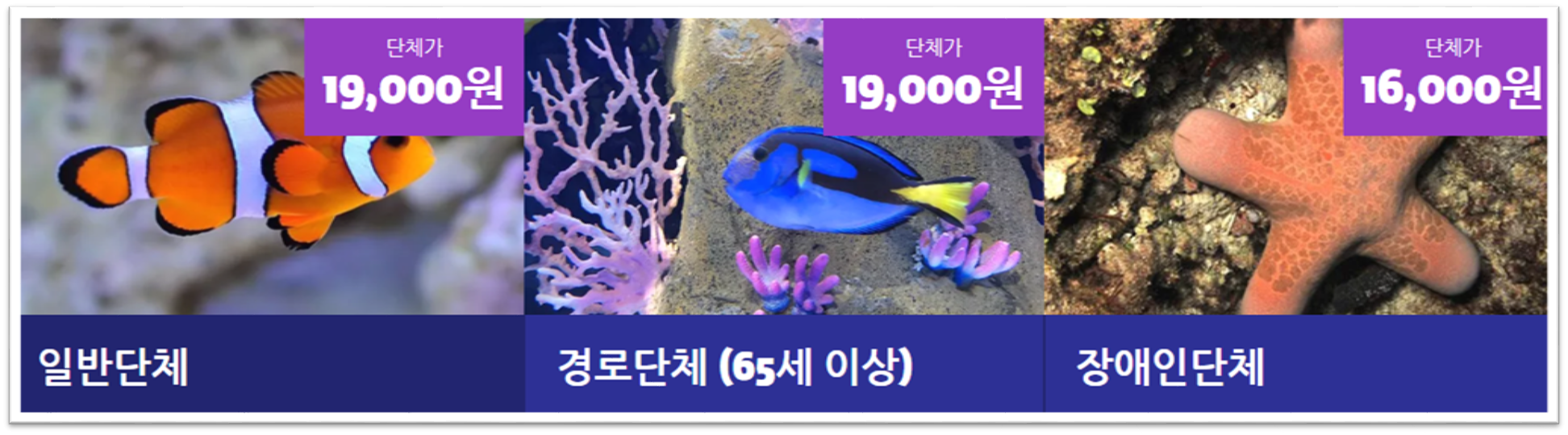 부산 아쿠아리움 할인 방법3