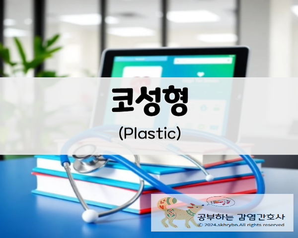 의학 정보_콧볼 축소수술(plastic) 성형, 방법, 종류, 비용 살펴 보기