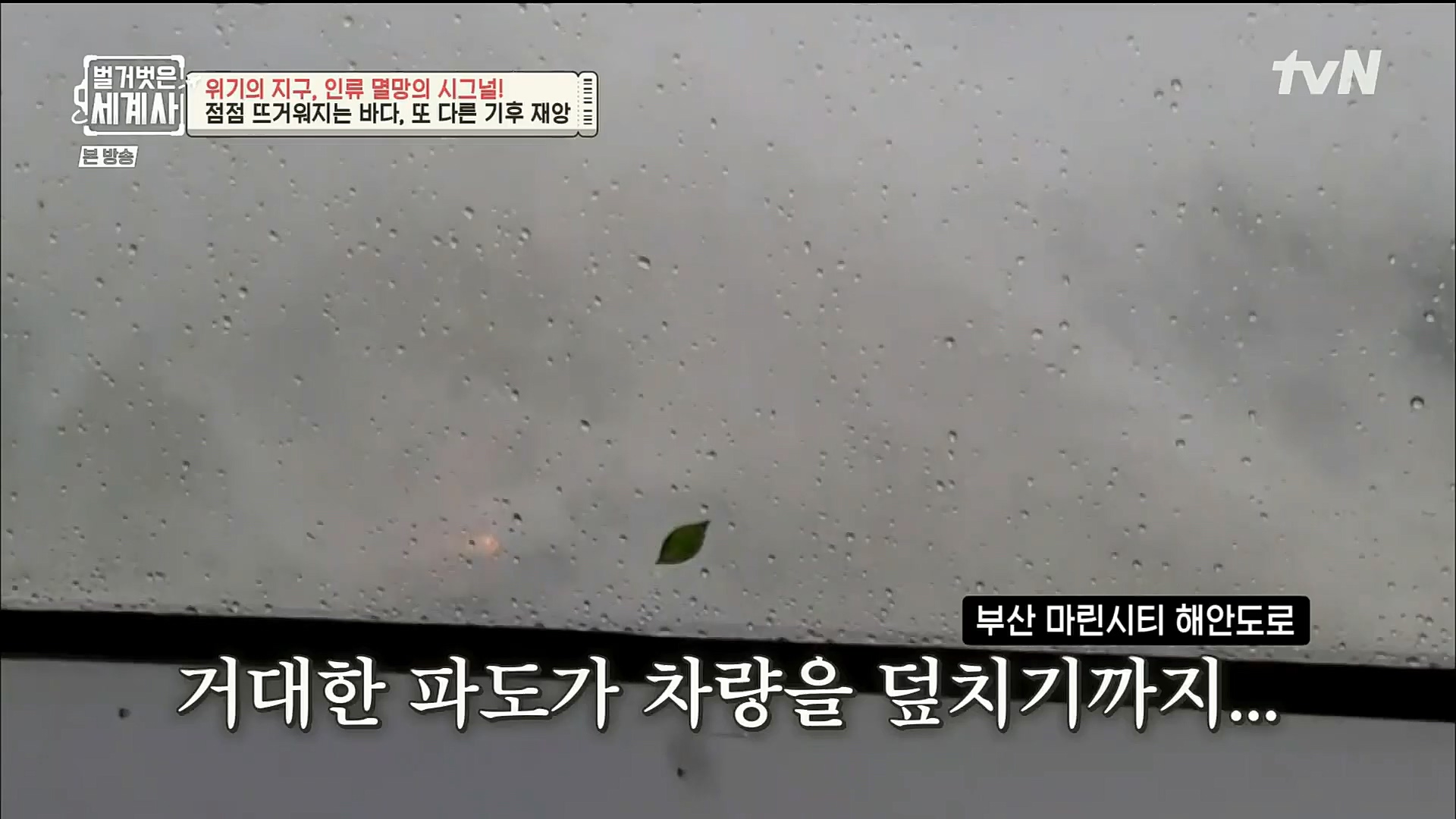 벌거벗은 세계사.E75.221129p.H264-F1RST.mp4_20221211_170946.103.jpg