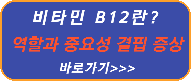 비타민-b-12