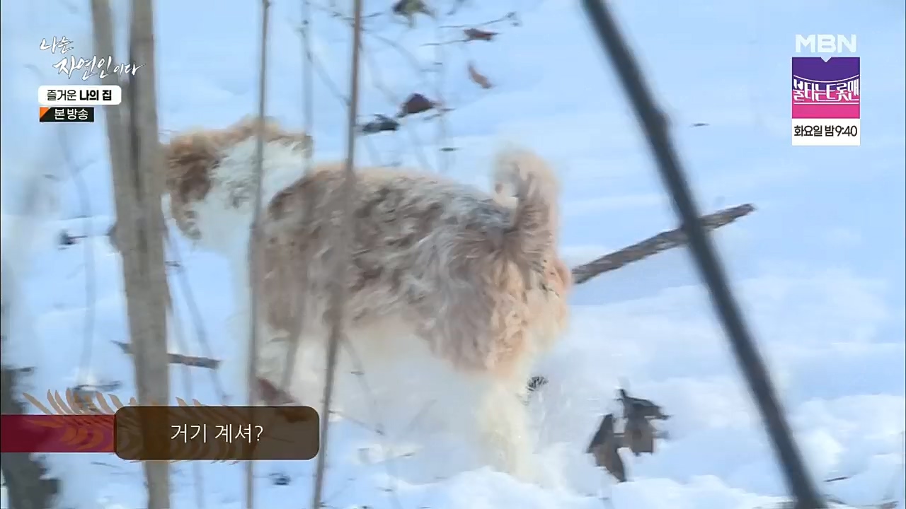 나는 자연인이다.E535.230105p.H264-F1RST.mp4_20230106_203950.741.jpg