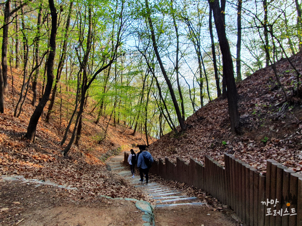 광교산-광교저수지