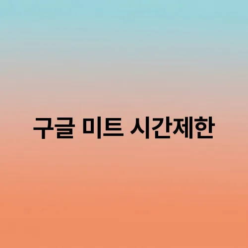 구글 미트 시간제한