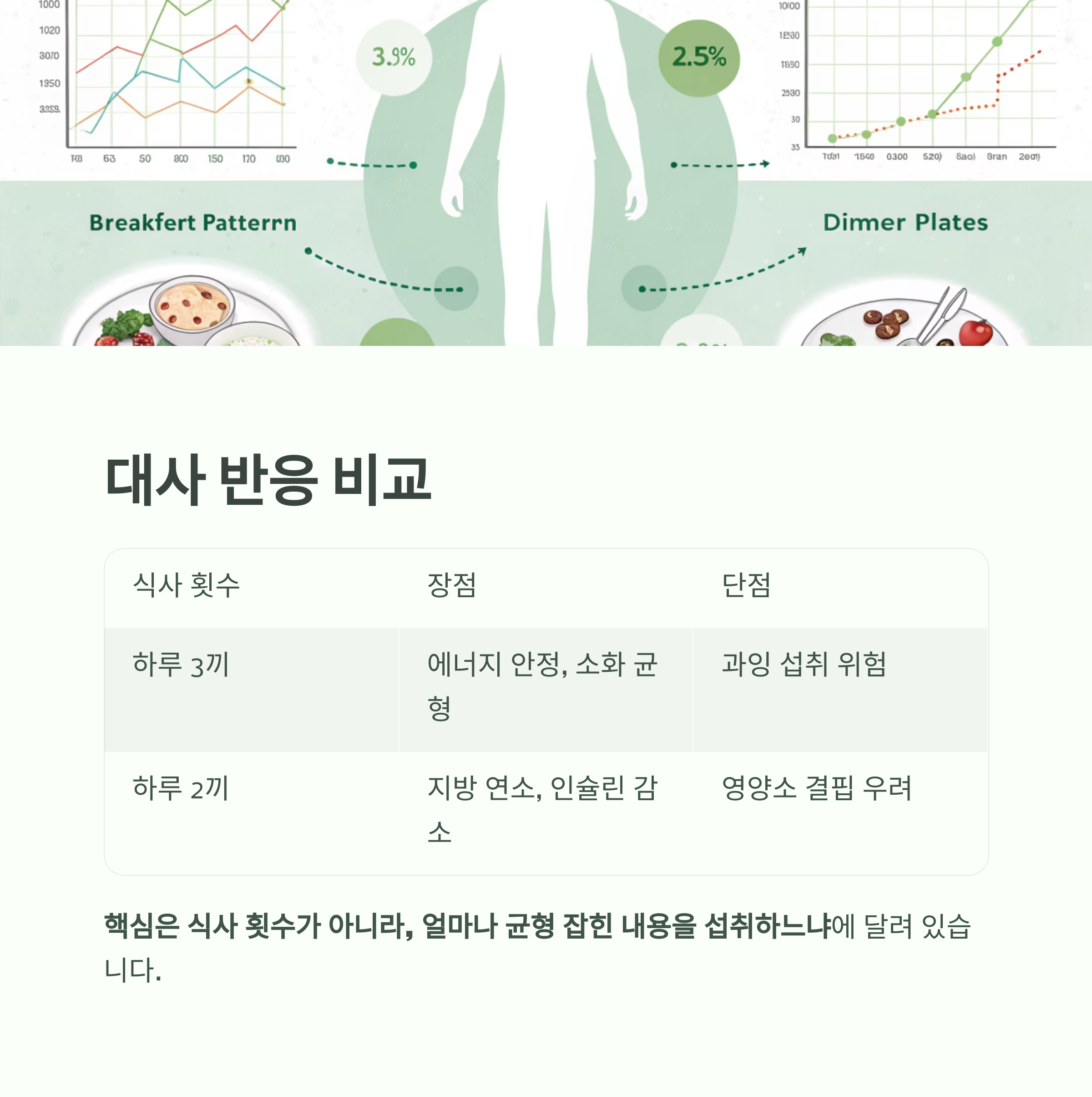 하루 2끼 vs 3끼, 과학이 말하는 최적의 식사 횟수는? - 건강하게 오래 살기 위해, 하루에 몇 끼를 먹는 게 좋을까요? - 식사 횟수에 따른 대사 반응 비교 하루 2끼 vs 3끼, 과학이 말하는 최적의 식사 횟수는? - 건강하게 오래 살기 위해, 하루에 몇 끼를 먹는 게 좋을까요? - 식사 횟수에 따른 대사 반응 비교