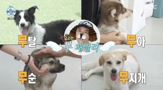 전현무