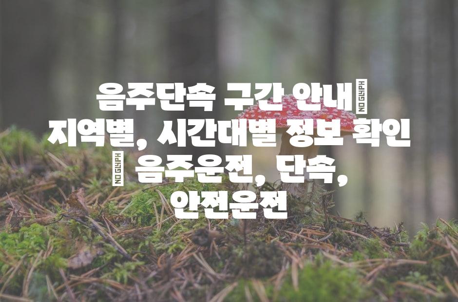 샘플 (42)