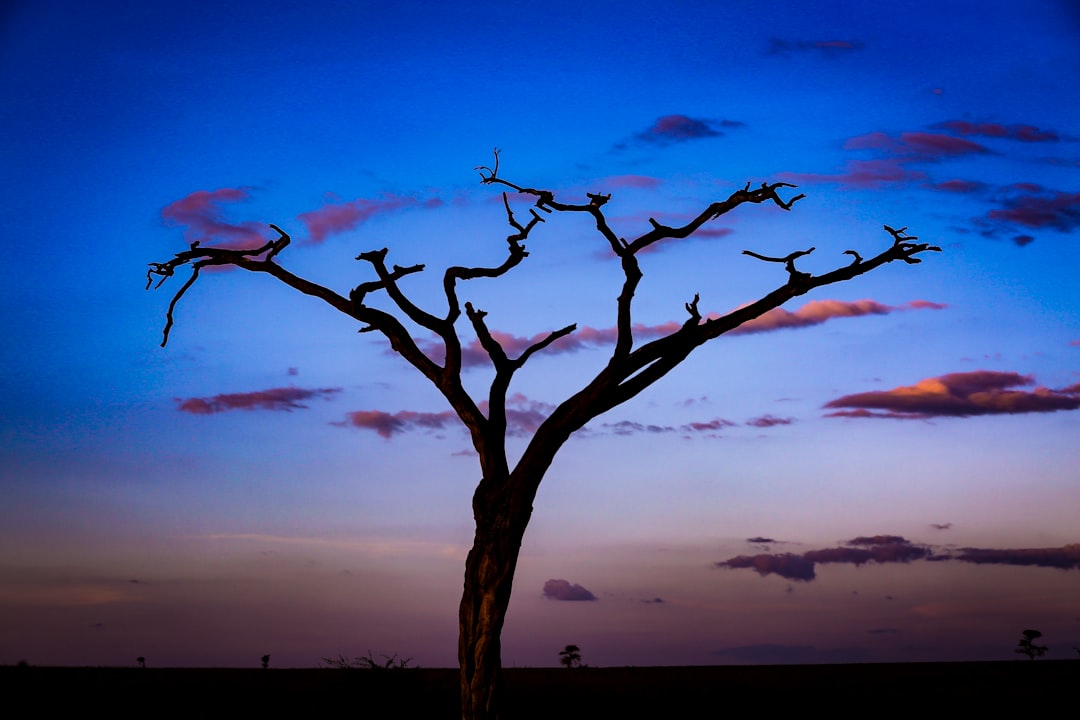Solitary