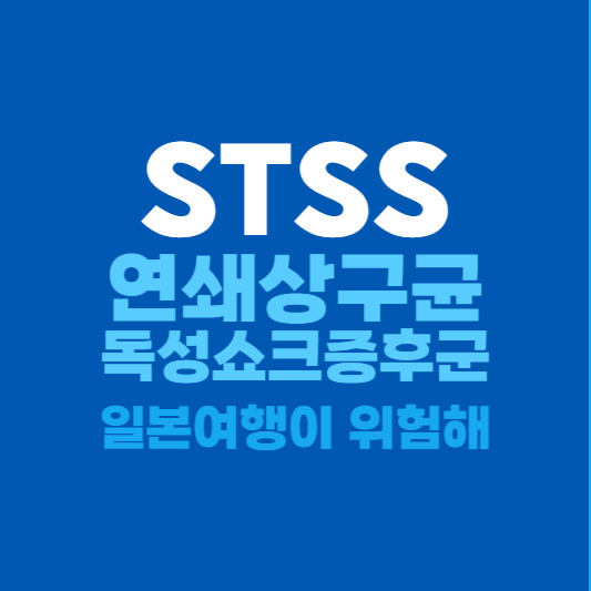 STSS 증상과 원인