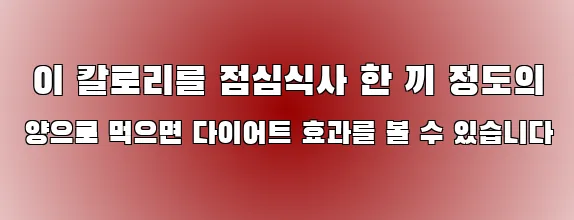  이 칼로리를 점심식사 한 끼 정도의 양으로 먹으면 다이어트 효과를 볼 수 있습니다
