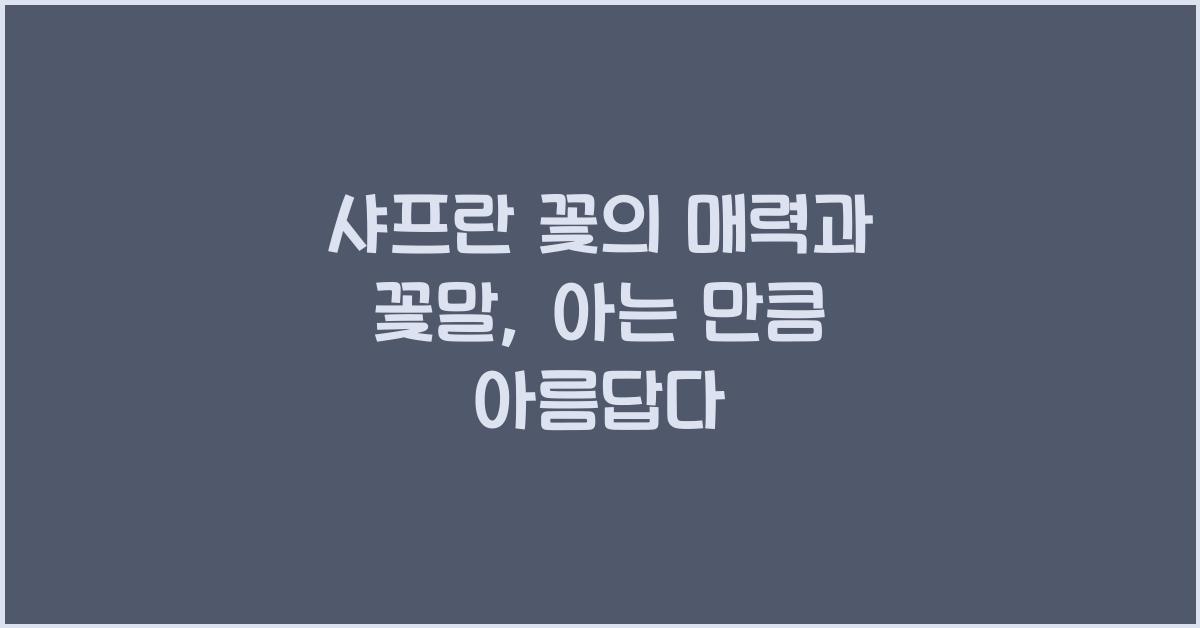 샤프란 꽃의 매력과 꽃말