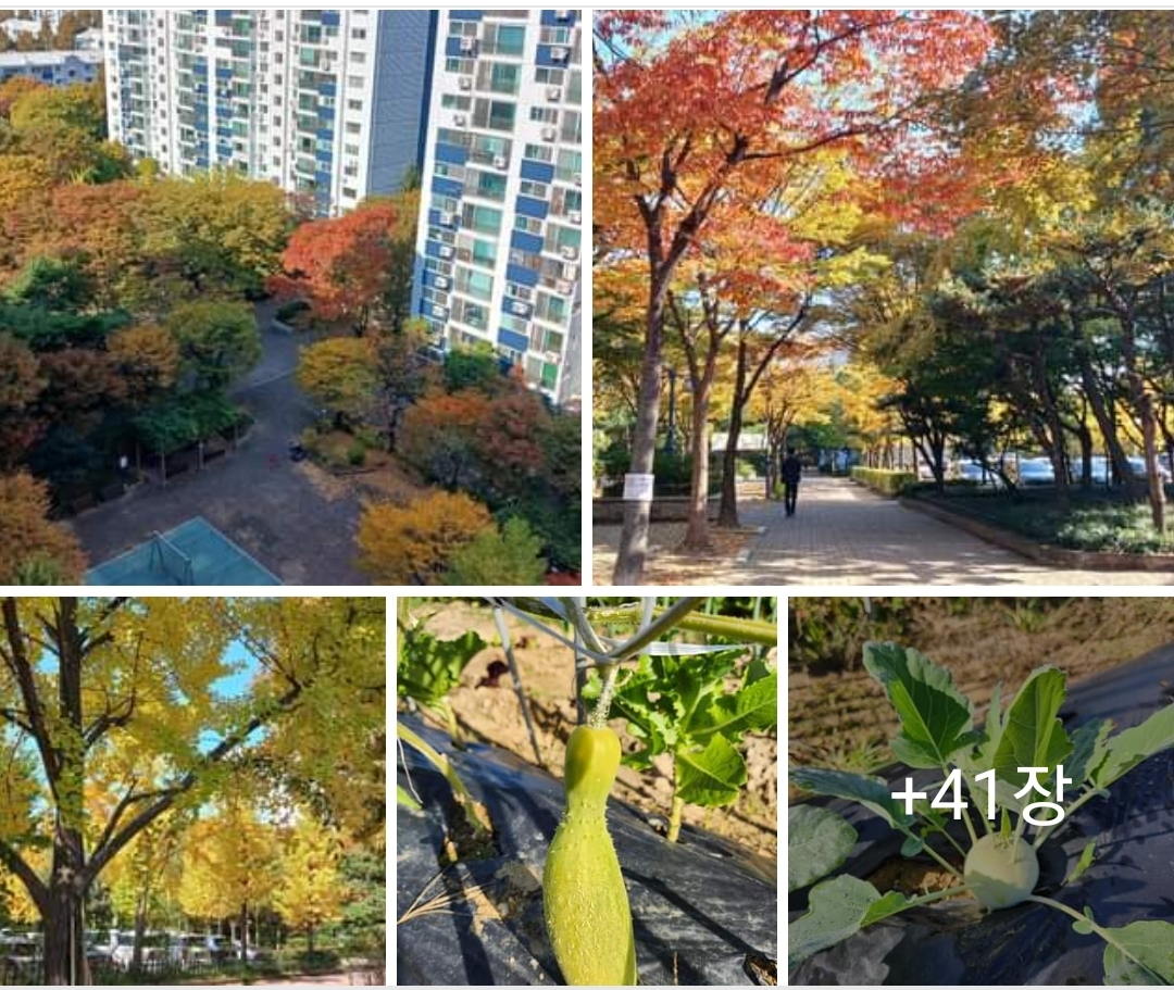 철원식품 이미지