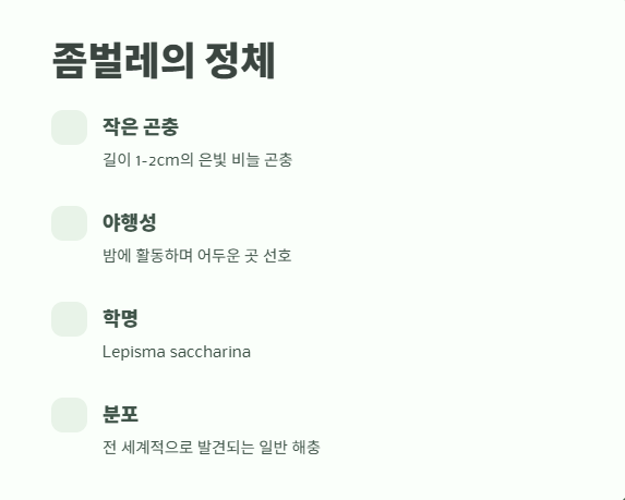 좀벌레 생기는 이유 예방법 2